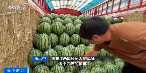 吃瓜竟然,揭秘吃瓜背后的娱乐真相