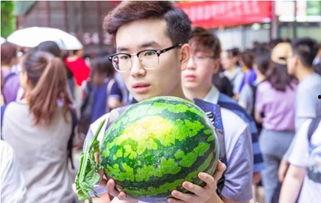 吃瓜大课堂,揭秘娱乐圈幕后真相与趣味故事