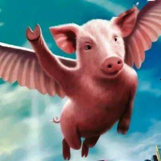 跑山猪吃瓜,与瓜果共舞的田园时光