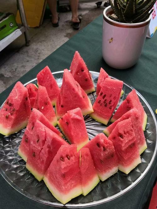 吃瓜观众重庆,麻辣鲜香里的市井百态