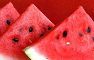 吃瓜病毒,揭秘网络谣言传播背后的真相