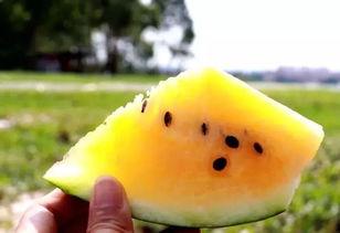 吃瓜爆打,真相大白！