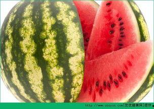 吃瓜网每日最新,娱乐圈最新热点事件深度解析