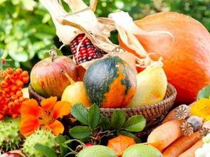 搜索周公解梦_梦到吃瓜