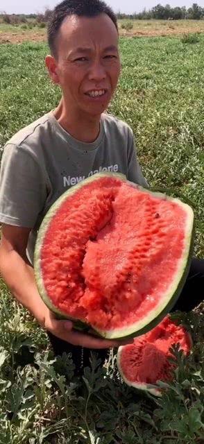 吃瓜有颜色的视频,带你领略幕后真相