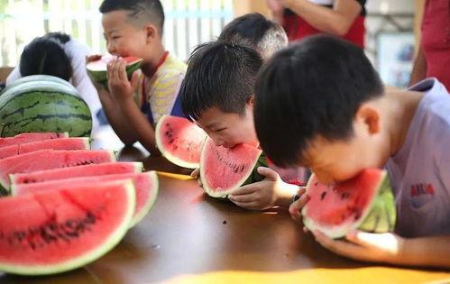 家庭吃瓜比赛视频,舌尖上的趣味竞技