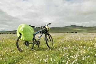 骑行途中吃瓜,瓜果飘香,一路畅享自然之旅