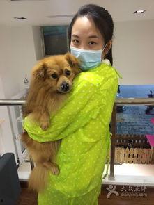 只会吃瓜的凯特宠物,瓜界新宠，吃瓜达人风采展示